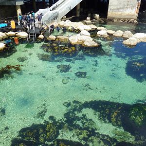 Aquarium Exterior - Great Tide Pool