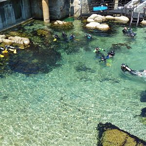 Aquarium Exterior - Great Tide Pool