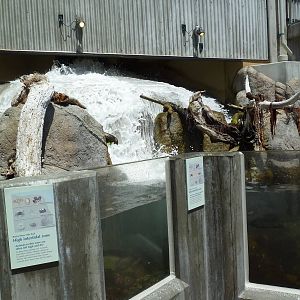 Aquarium Exterior - Crashing Waves Exhibit