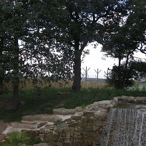 Tiger Enclosure No. 1 - 19.80.2011