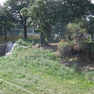 Tiger Enclosure No. 1 - 19.80.2011