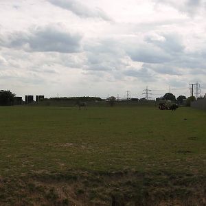 African Plains - 19.08.2011