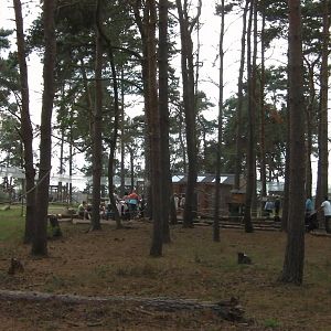 Lemur Woods - 19.08.2011