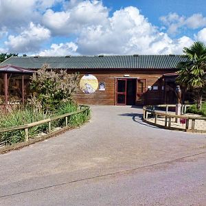 Desert Carnivore House