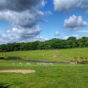 View over the African Valley