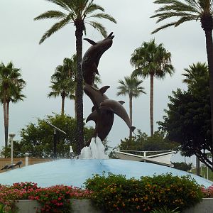 Exterior - Dolphin Statue