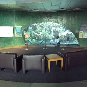 Tropical Pacific Preview Exhibit