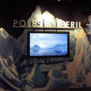 Poles In Peril - Temporary Exhibit