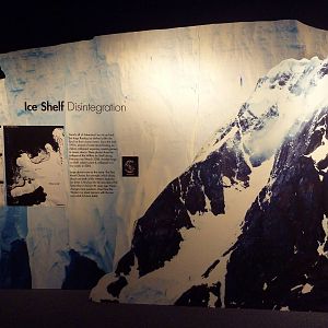 Poles In Peril - Temporary Exhibit