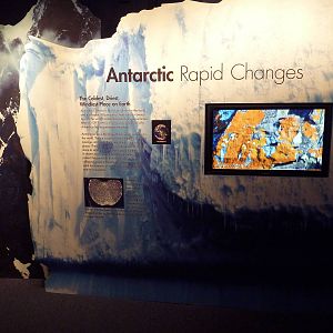 Poles In Peril - Temporary Exhibit