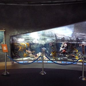 Northern Pacific Preview Exhibit