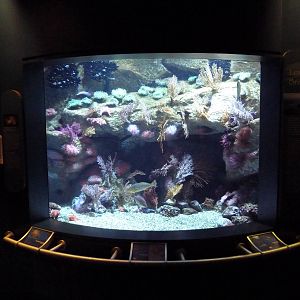 Southern California/Baja Gallery - Long Beach Breakwater Exhibit