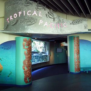 Tropical Pacific Gallery - Entrance