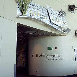 Gulf Of California Gallery - Entrance