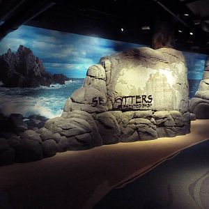 Northern Pacific Gallery - Sea Otter Exhibit Entrance