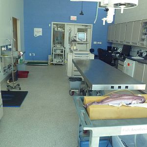 Molina Animal Care Center