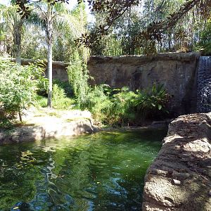Black Howler Monkey/Crested Screamer/Black-Necked Swan/Mallard Exhibit