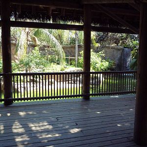 Black Howler Monkey/Crested Screamer/Black-Necked Swan/Mallard Exhibit