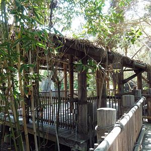 Black Howler Monkey/Crested Screamer/Black-Necked Swan/Mallard Exhibit