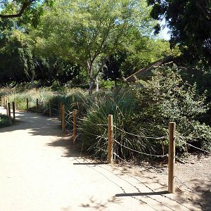 Tierra de las Pampas - Pathway