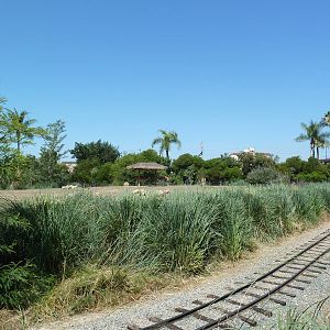 Tierra de las Pampas - Guanaco Exhibit