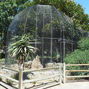 Africa/Madagascar Exhibit (6 Species)