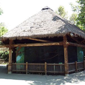 Emperor Tamarin Exhibit