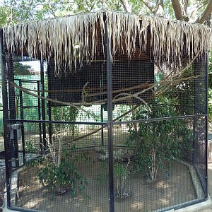 Two-Toed Sloth Exhibit