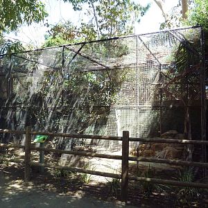 Red-Handed Tamarin Exhibit