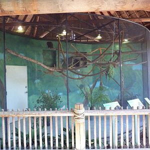 Dusky Titi Monkey/Owl Monkey Exhibit