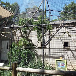 Golden Lion Tamarin Exhibit
