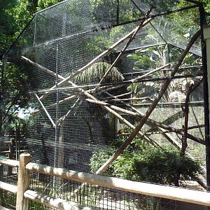 Crested Capuchin Exhibit