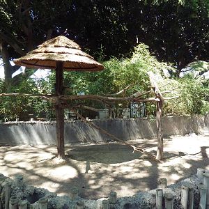 Blue + Yellow Macaw Exhibit