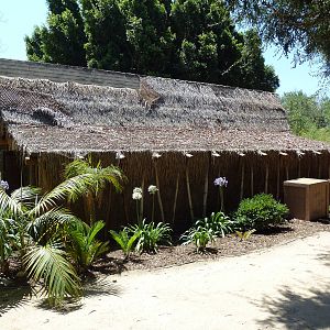 Exploration Outpost - Research Hut