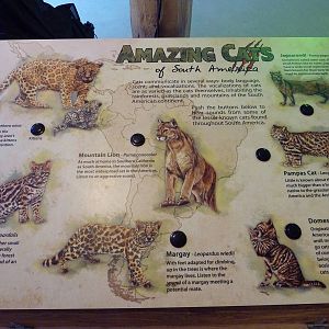 Exploration Outpost - Research Hut