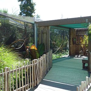 Red Ruffed Lemur Exhibit