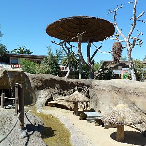Guinea Pig + Macaw Exhibits