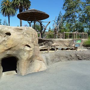 Guinea Pig + Macaw Exhibits