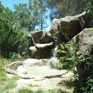 Jaguar Exhibit - See The Cat?