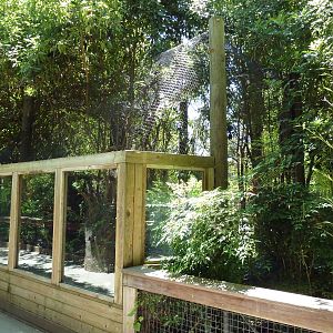 Prevost's Squirrel Exhibit