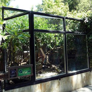 Capuchin Monkey Exhibit