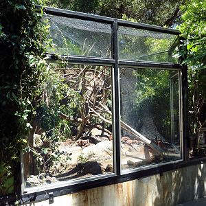 Squirrel Monkey Exhibit