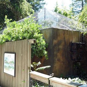 Black + White Ruffed Lemur Exhibit