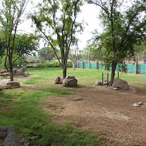 African Paddock (4 Species)