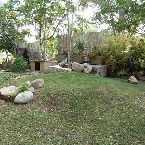 Leopard Tortoise Exhibit
