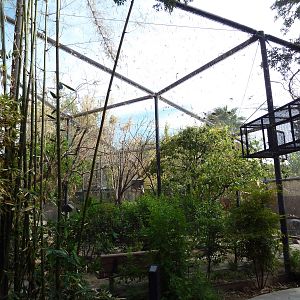 Walk-Through Aviary
