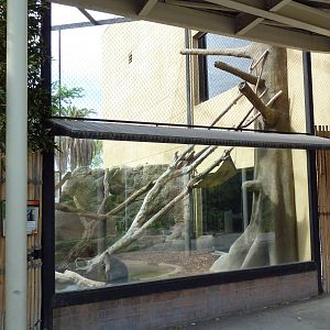 Lion-Tailed Macaque Exhibit