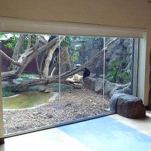 Lion-Tailed Macaque Exhibit