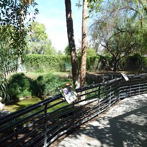 Capybara/Llama Exhibit