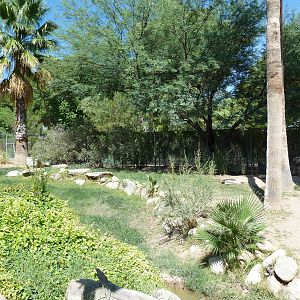 Galapagos Tortoise/Rhea Exhibit
